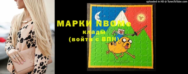 индика Бородино