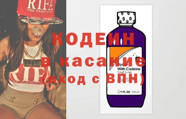 индика Бородино