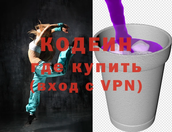 индика Бородино