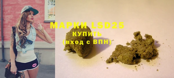 индика Бородино