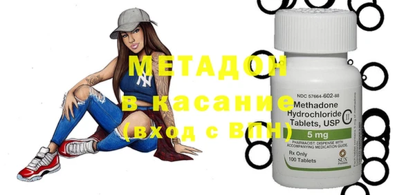 индика Бородино