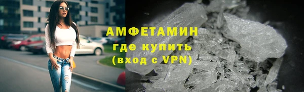 индика Бородино