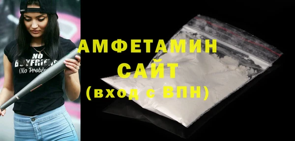 индика Бородино