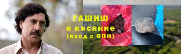 индика Бородино