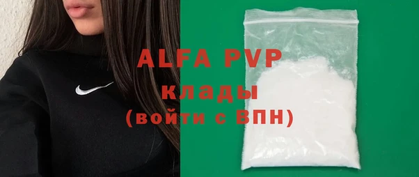 индика Бородино