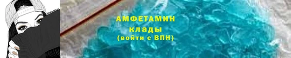 индика Бородино