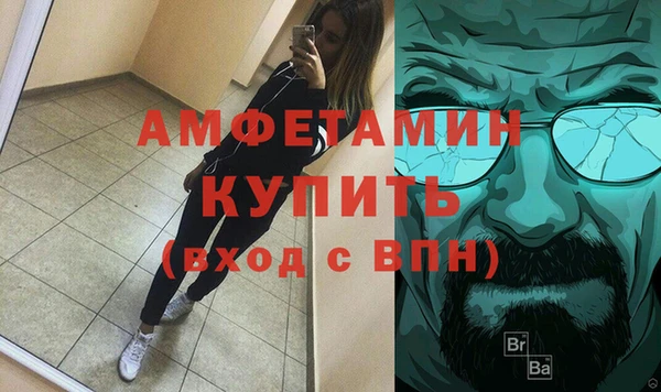 индика Бородино