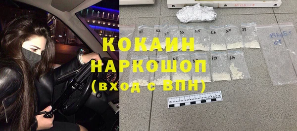 индика Бородино