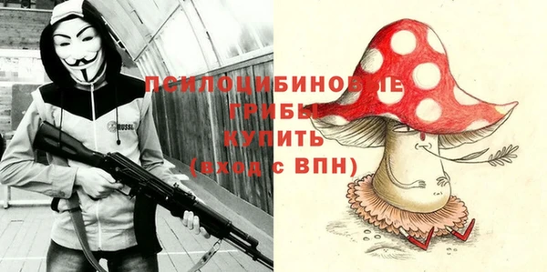 индика Бородино