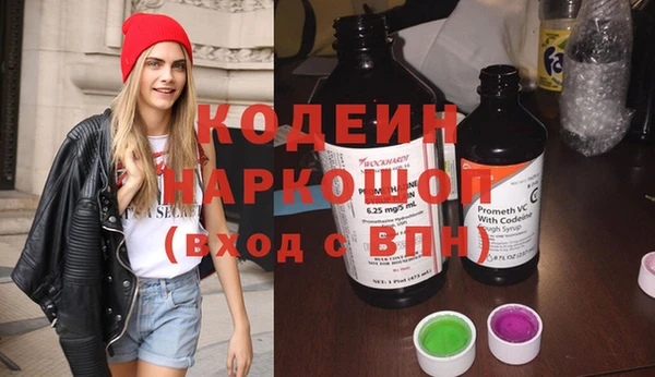 индика Бородино