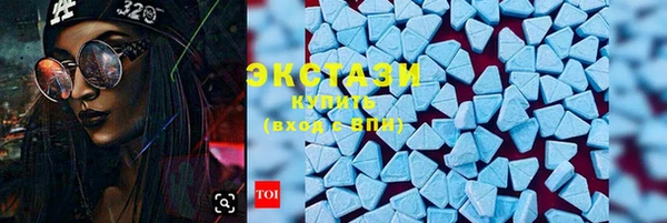 индика Бородино