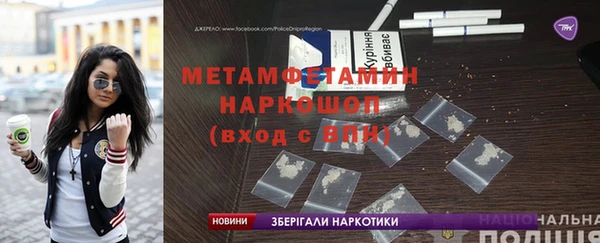индика Бородино