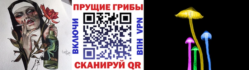 omg сайт  Княгинино  Псилоцибиновые грибы Psilocybine cubensis 
